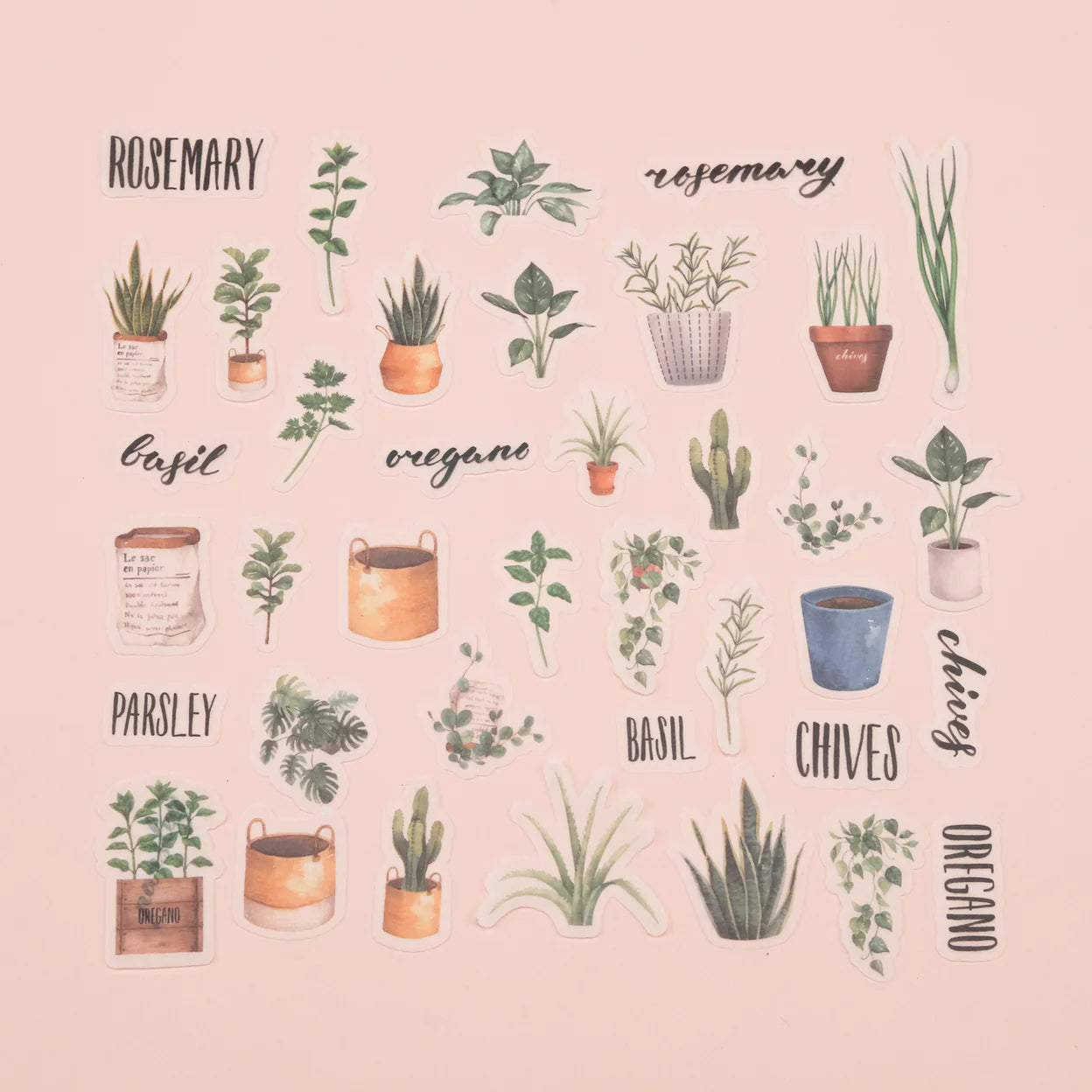 Herb Plant Washi Stickers