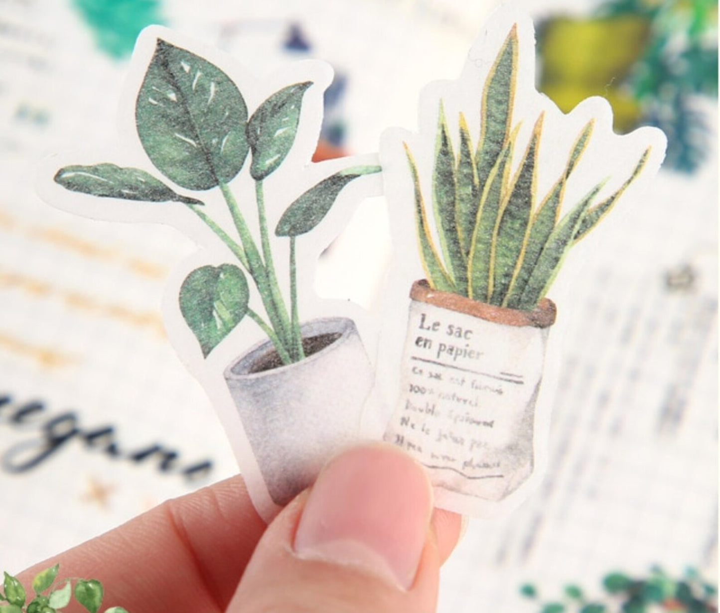 Herb Plant Washi Stickers