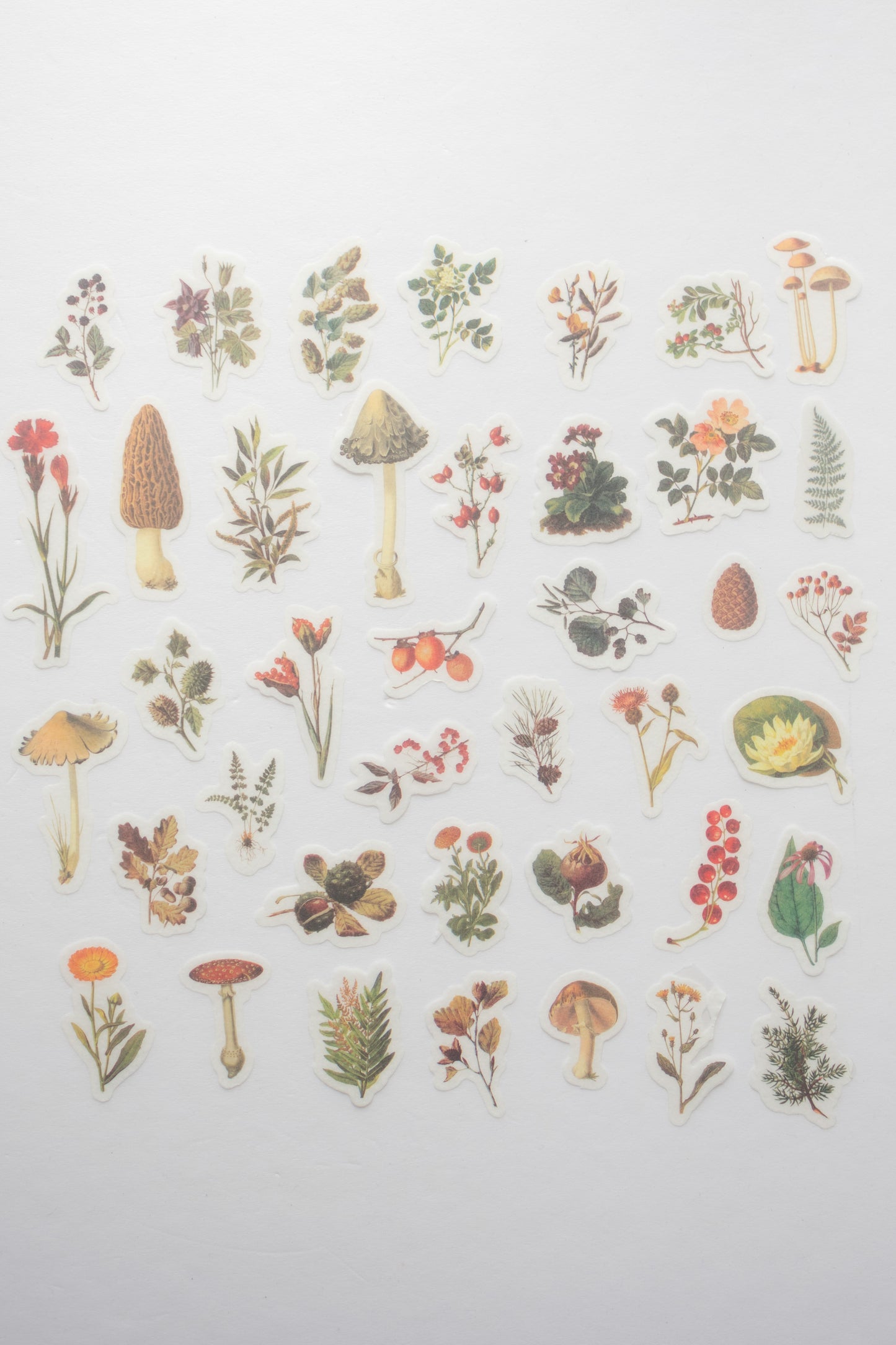 Mushroom Garden Washi Stickers