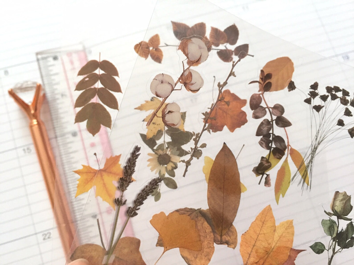 Autumn Wind Stickers