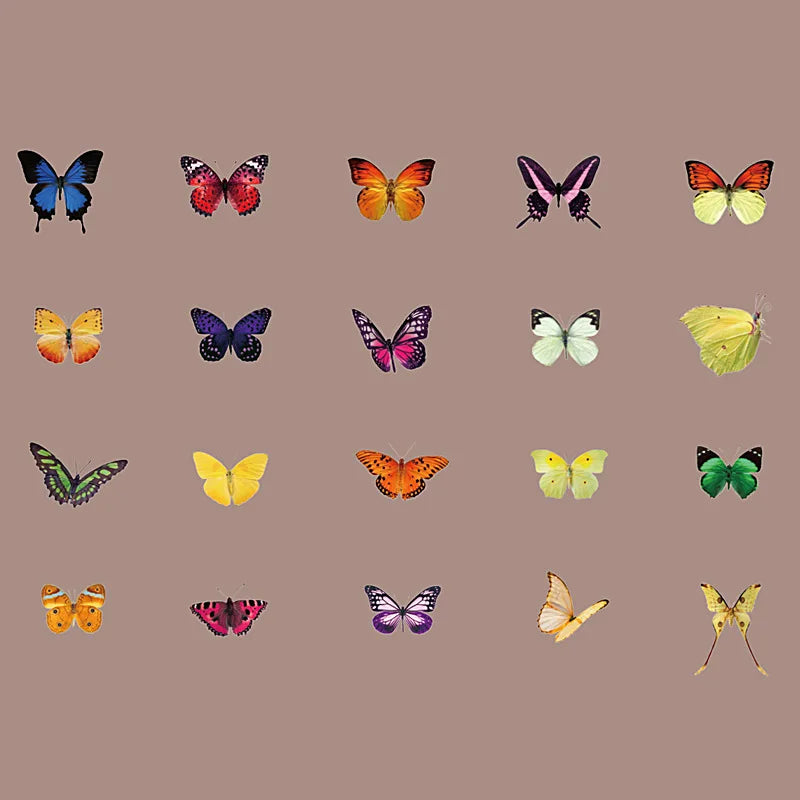 Butterfly Stickers