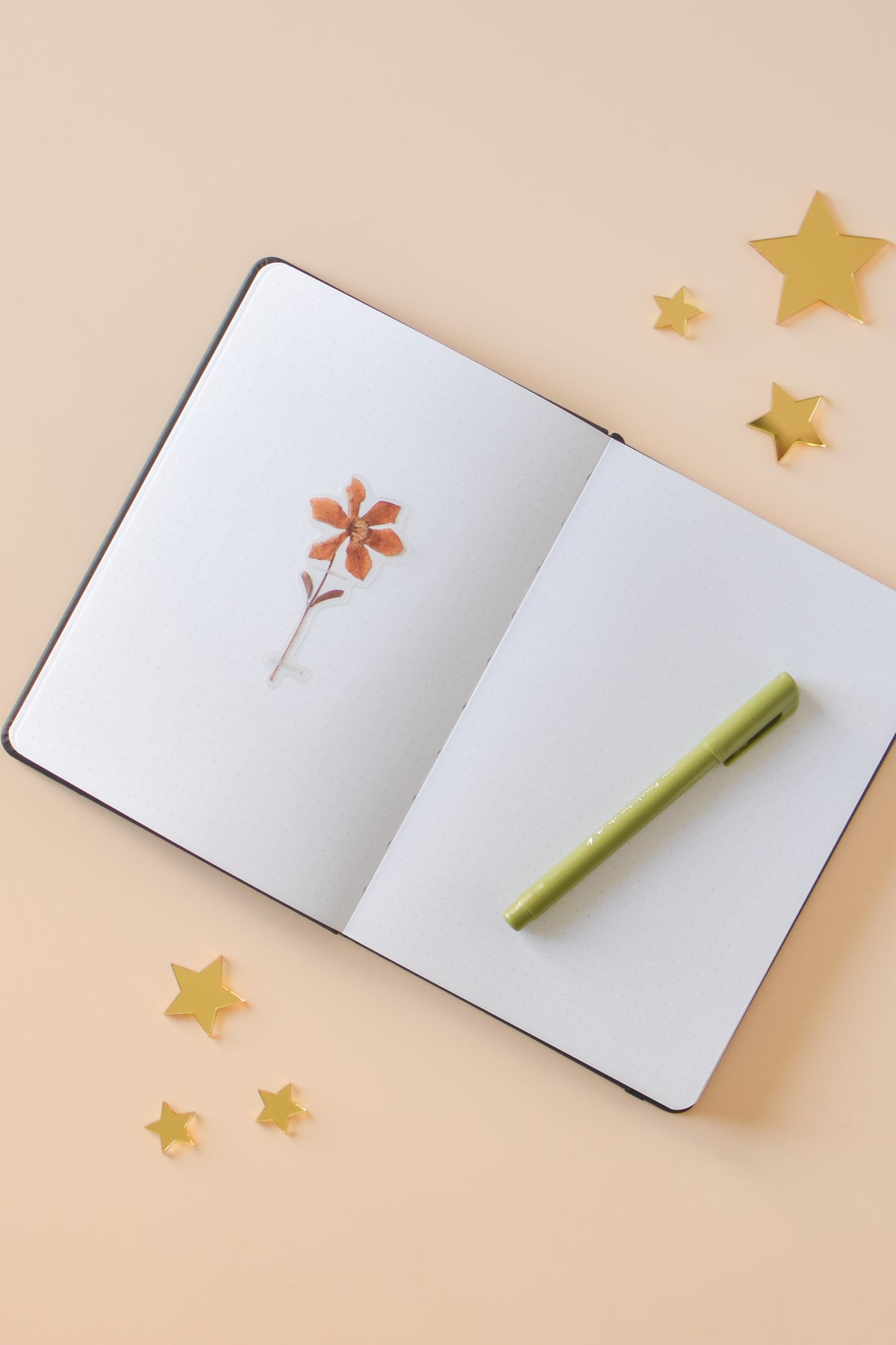 Black Moon Notebook