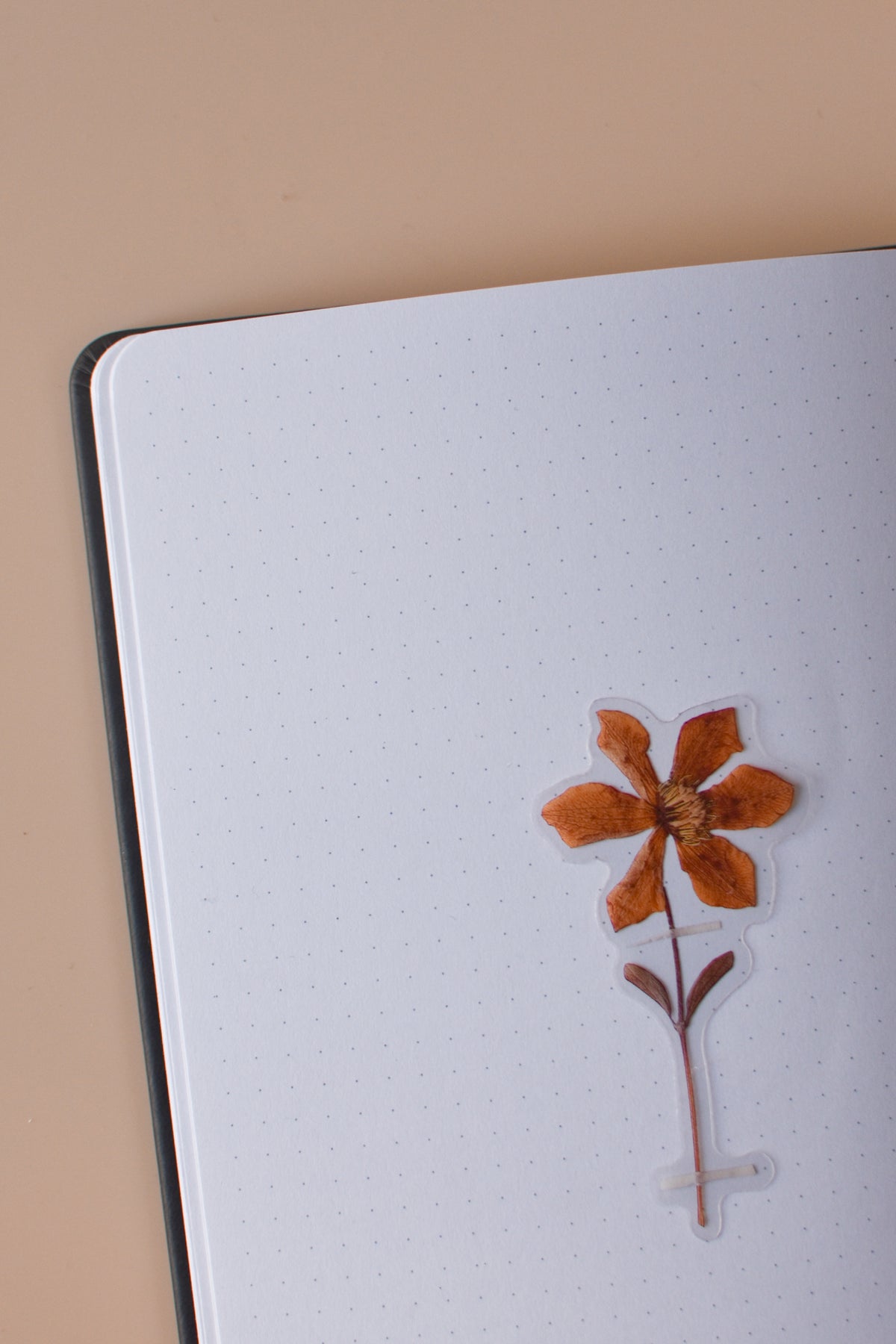 Black Moon Notebook