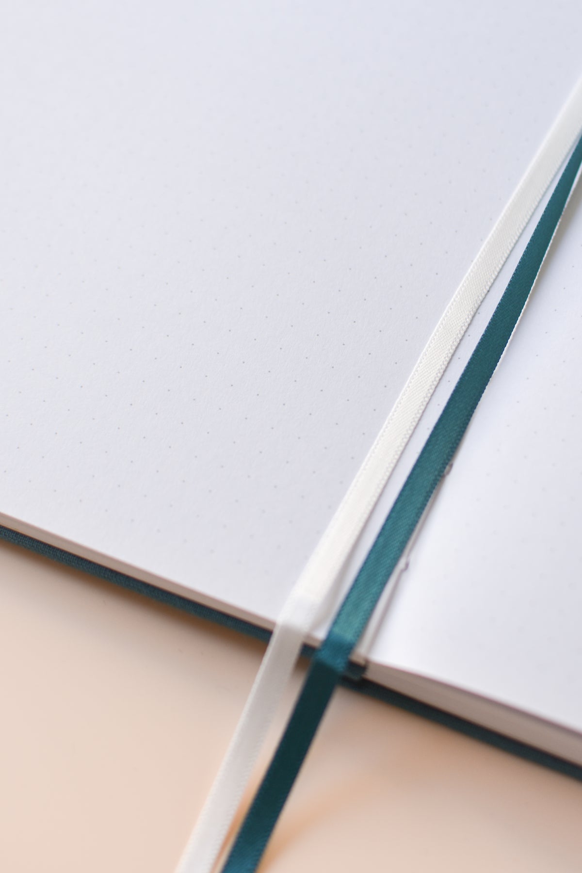 Golden Butterfly Notebook